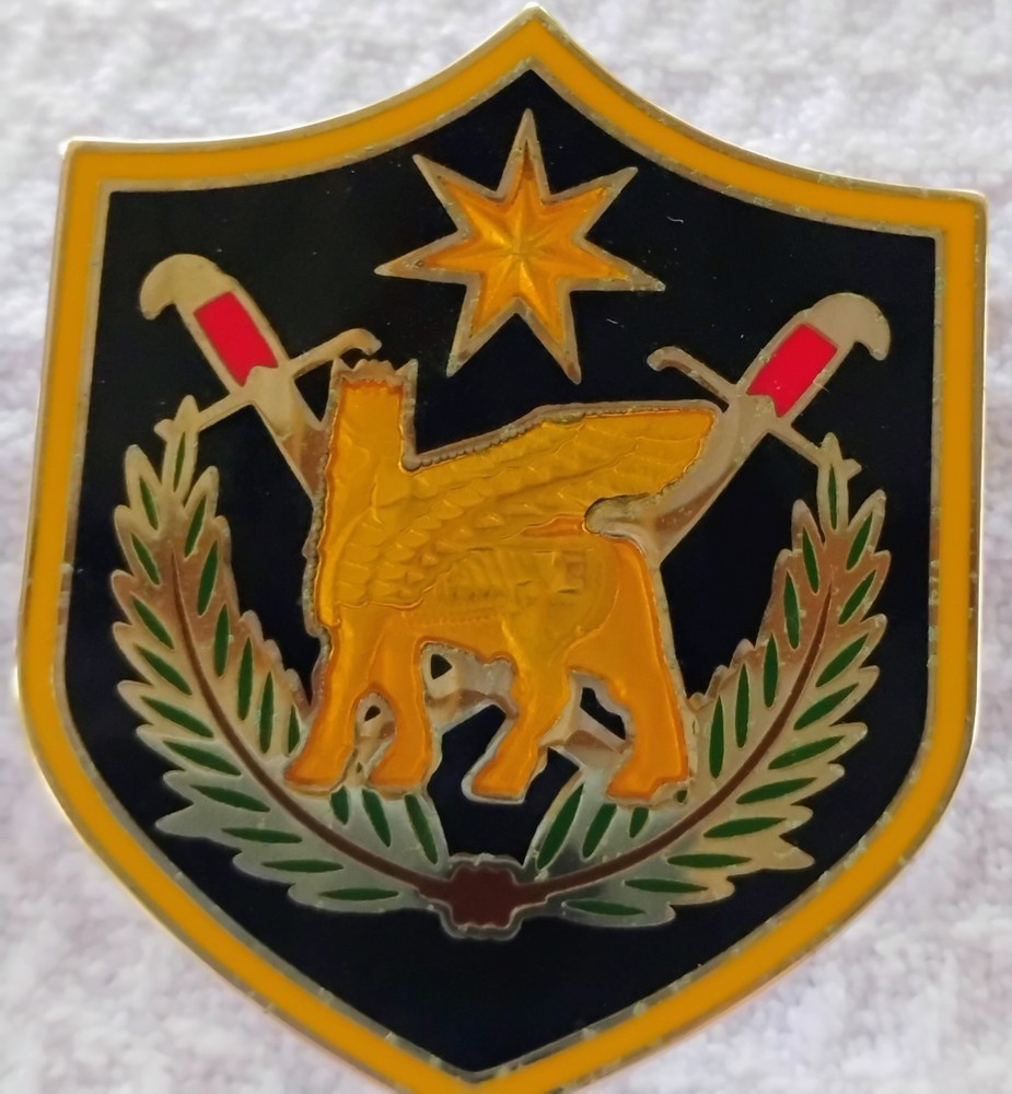 COMBAT SERVICE PIN IRAQ MULTINATIONAL FORCES