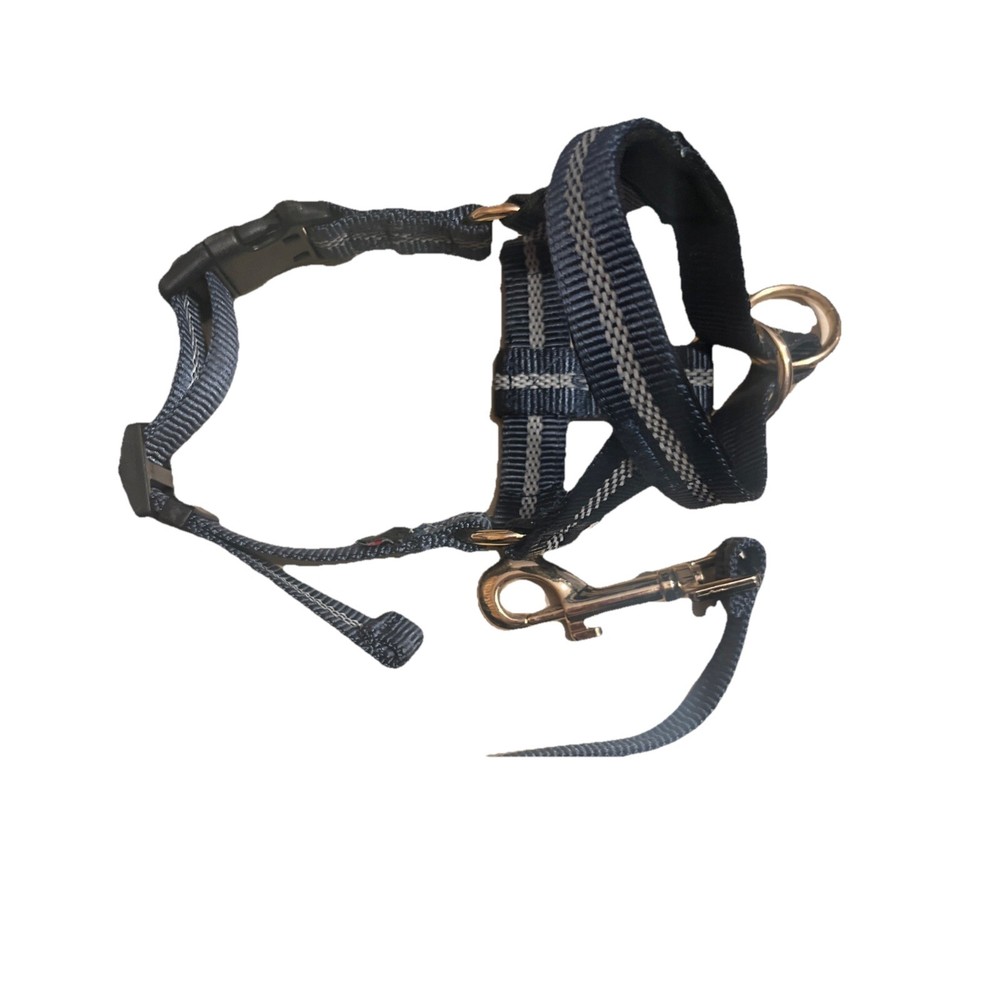 Barkless Headcollar Seatbelt Small🐶🐶🐶🐶🐶