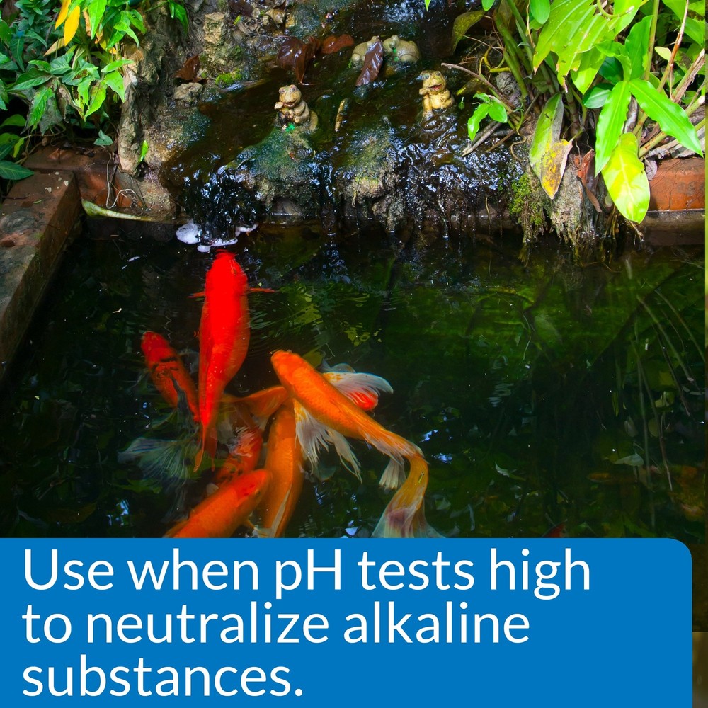 API POND pH DOWN Pond Water pH Reducing Solution 16-Ounce Bottle, White,