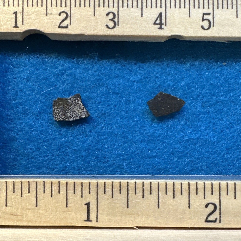 Dinosaur Eggshell Two Fossils from Late Jurassic with Display Case