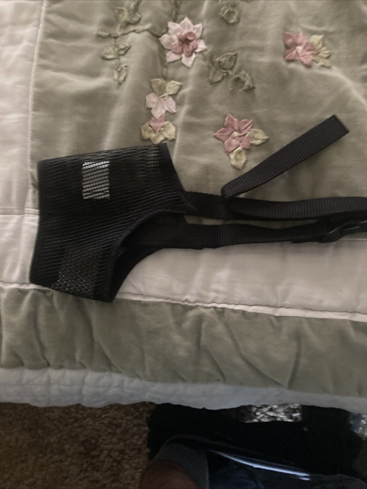 dog muzzle medium