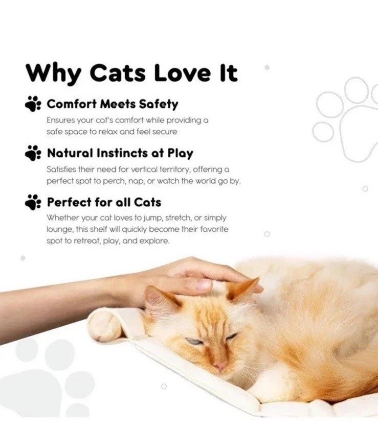 RUBQI PETS, Cat Steps & Hammock with 3 Steps, Parisian Script Print