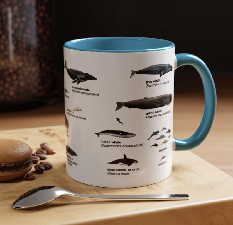 Whale Identification Mug Marine Biology Coffee Cup Gift