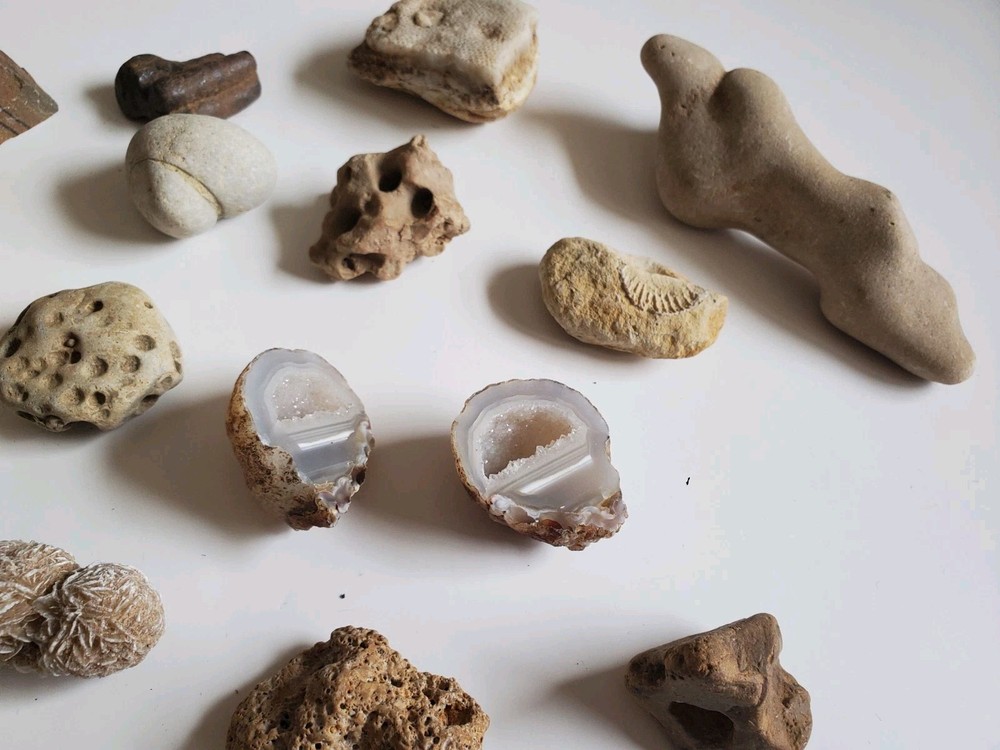 Fossile Geode And Rock Collection