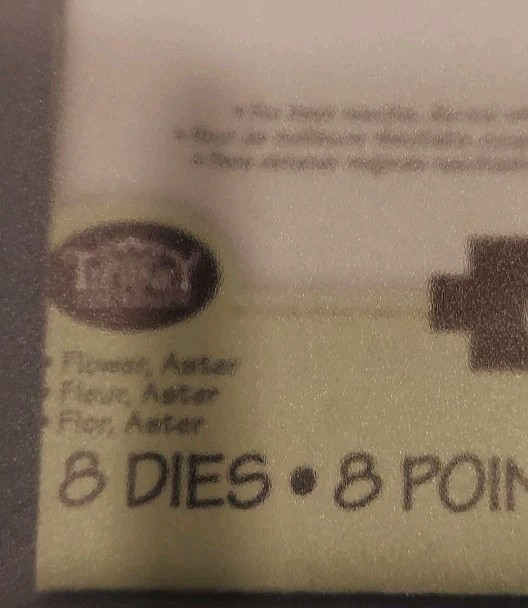 Sizzix Thinlits Susan's Garden 8 Die Set NIP Flower Aster