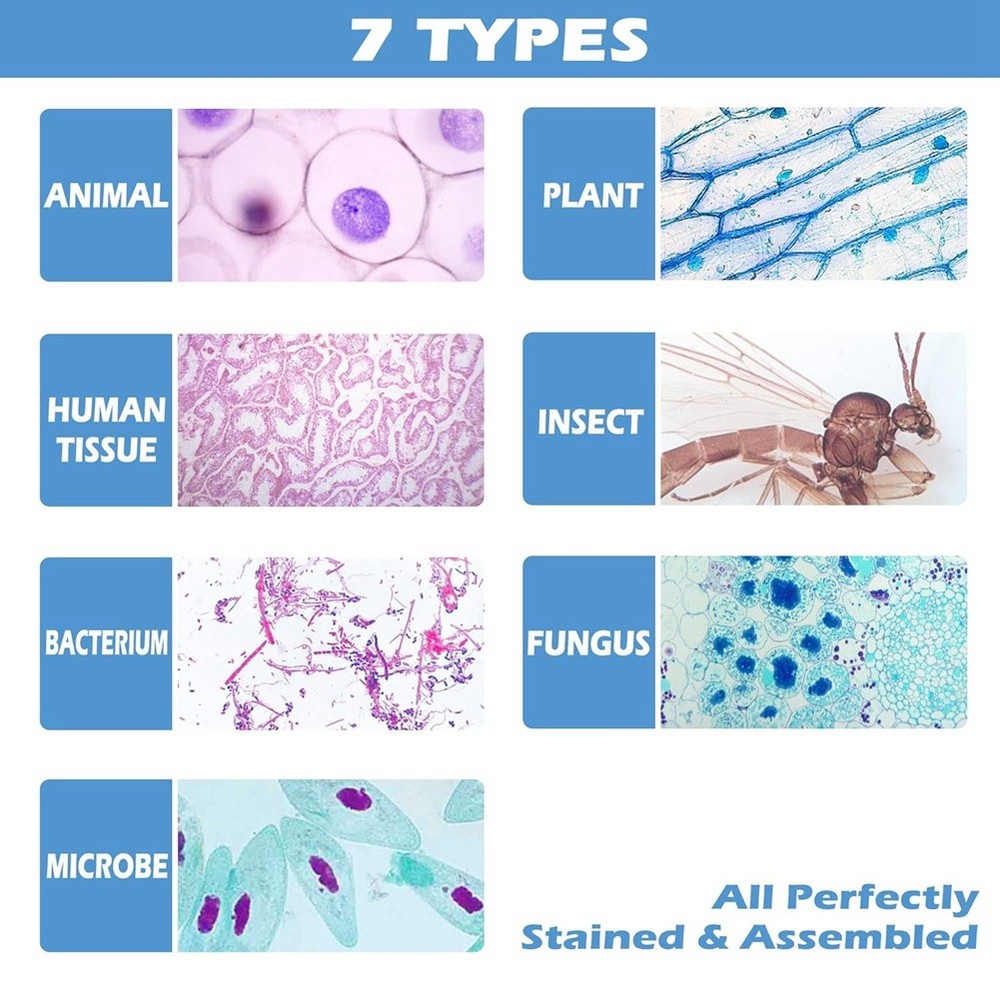 200 Packs Microscope Slides, 100 Plants & 100 Animal Tissues Includes2739