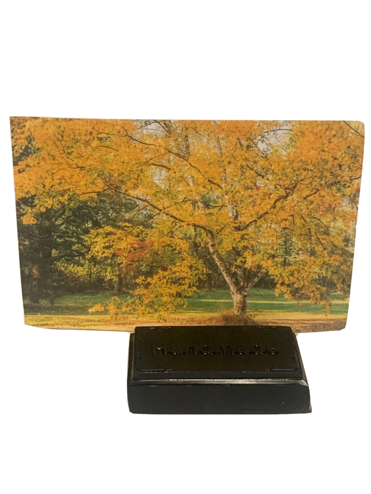 Birch Tar Soap