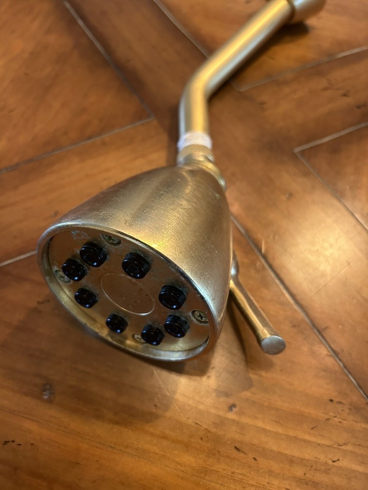 sherle wagner Shower Head Used