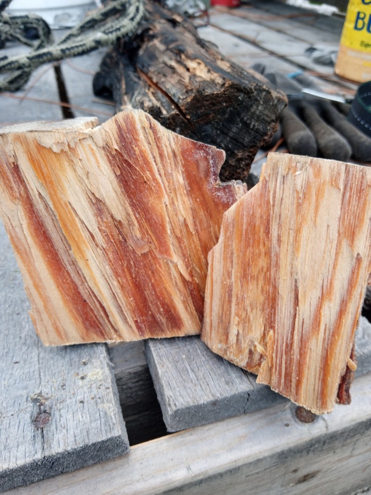 Lighter Knot / Fatwood