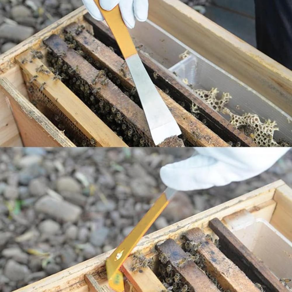 3PCS Bee Hive Scraper Tools | Stainless Steel Beekeeping Equipment