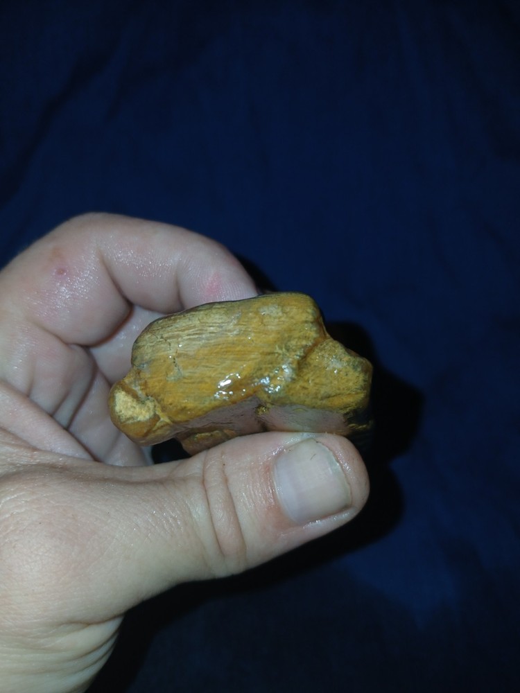 4.5 oz Agatized Petrified Wood