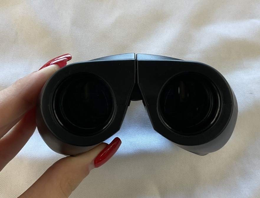 leupold bx 1 rogue binocular