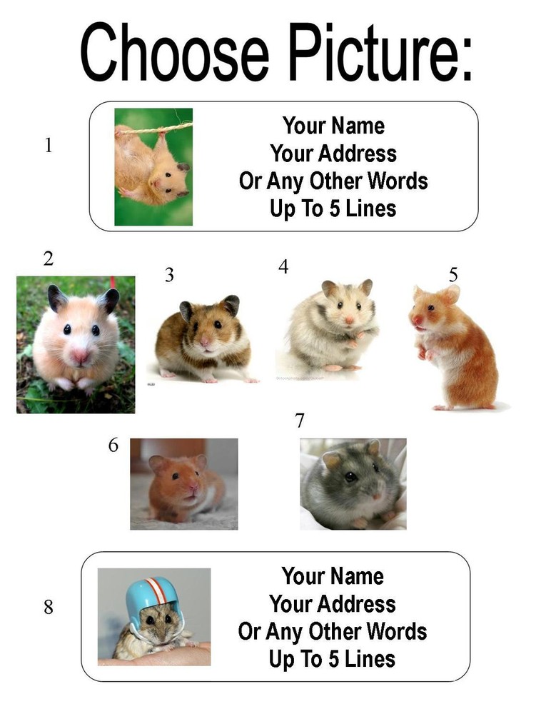 30 Hamster Personalized Address Labels
