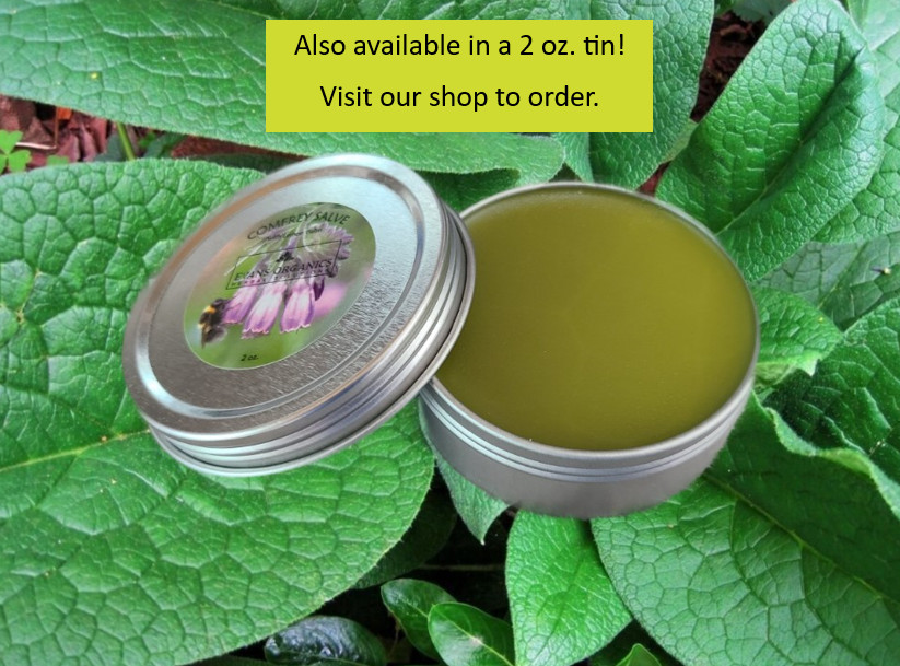 Comfrey Healing Salve 4 oz - Free Shipping!