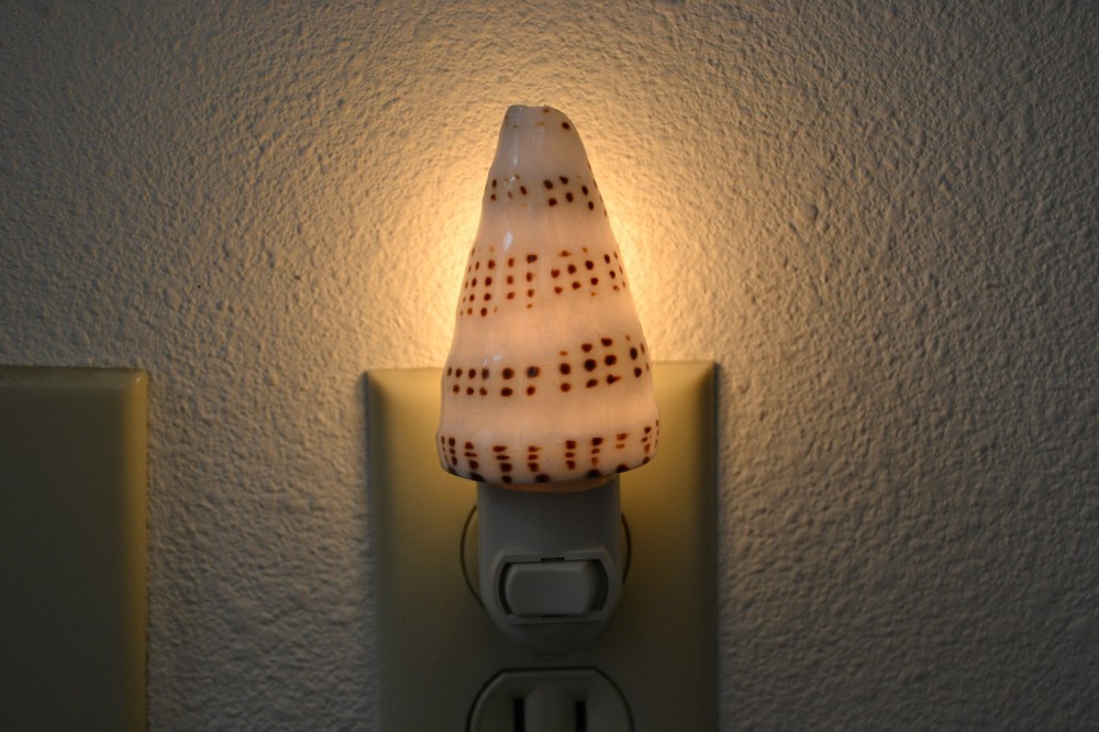 STRIPE CONE SEA SHELL NIGHTLIGHT