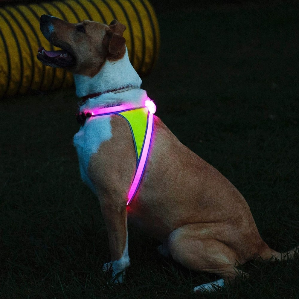 LED Dog Harness Reflective USB Rechargeable Adjustable Rainproof Large