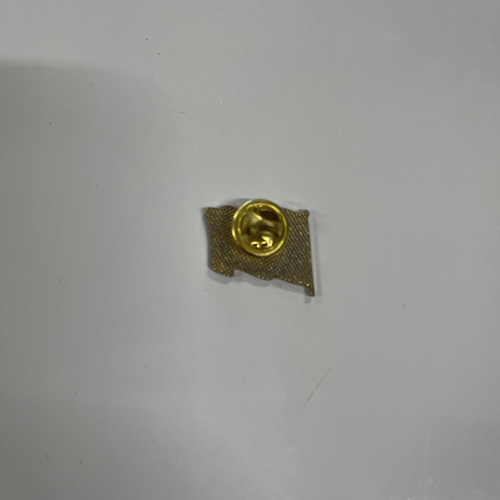 Waving American Flag Pin