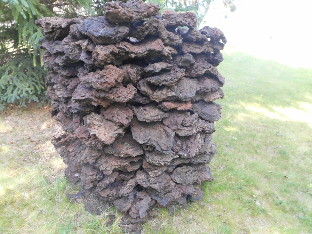 2 + Ton Real Native Oregon Lava Foam Stone