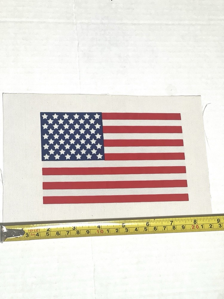 1969 Man On The Moon & Eagle Has Landed Beta Cloth Patch Collection