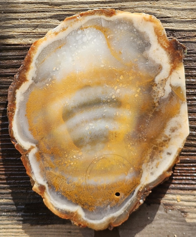 Agate Lapidary Slab 101 Grams