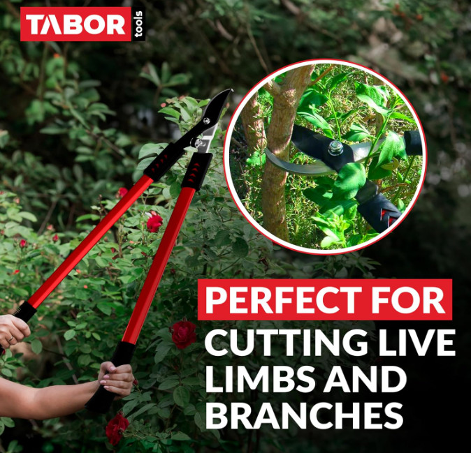 TABOR TOOLS GL16A Bypass Lopper, Chops Branches with Ease, Classic 28 Inch Tree