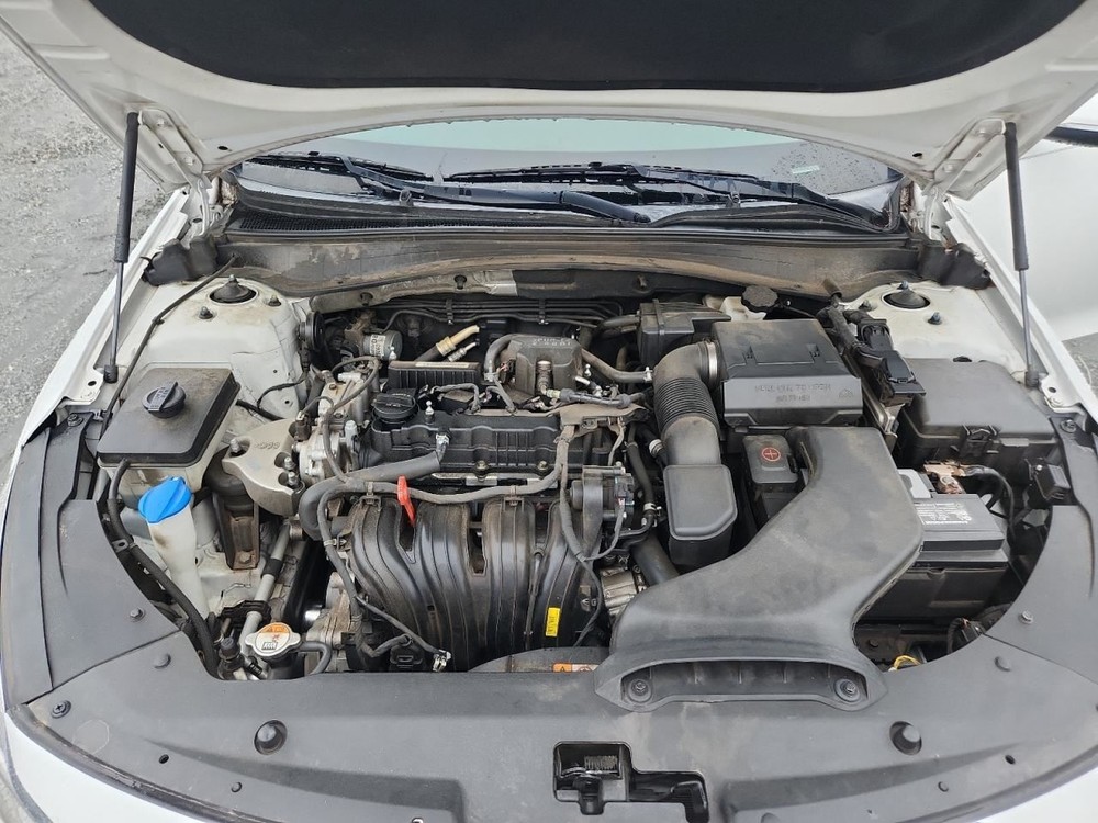 OPTIMAKIA 2018 Glove Box 4825480