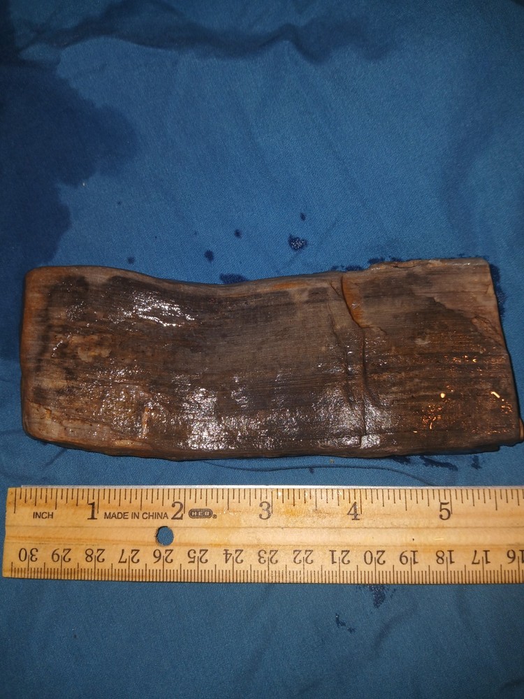 10 oz Petrified Wood