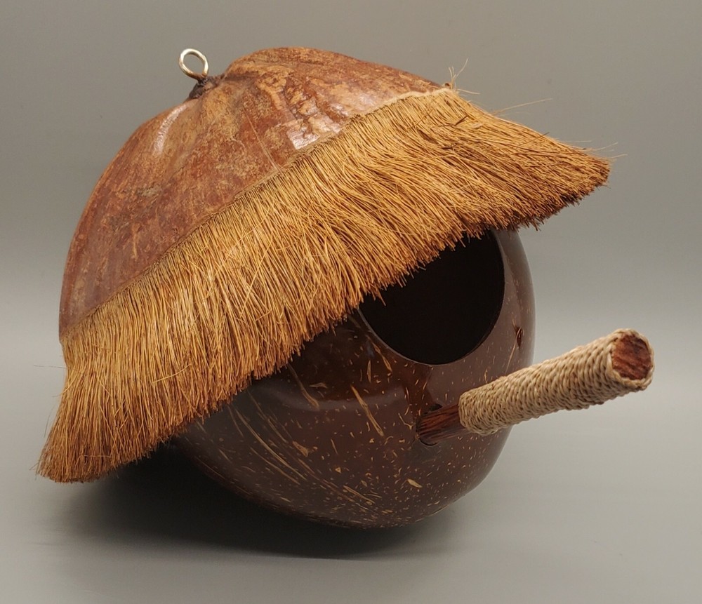 Bird House Made From A Coconut Shell