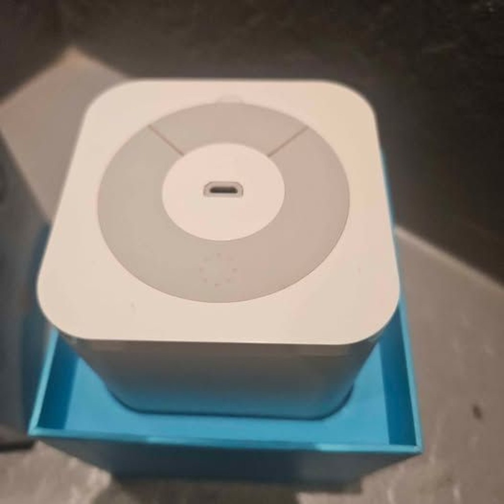 Circle Home with Disney