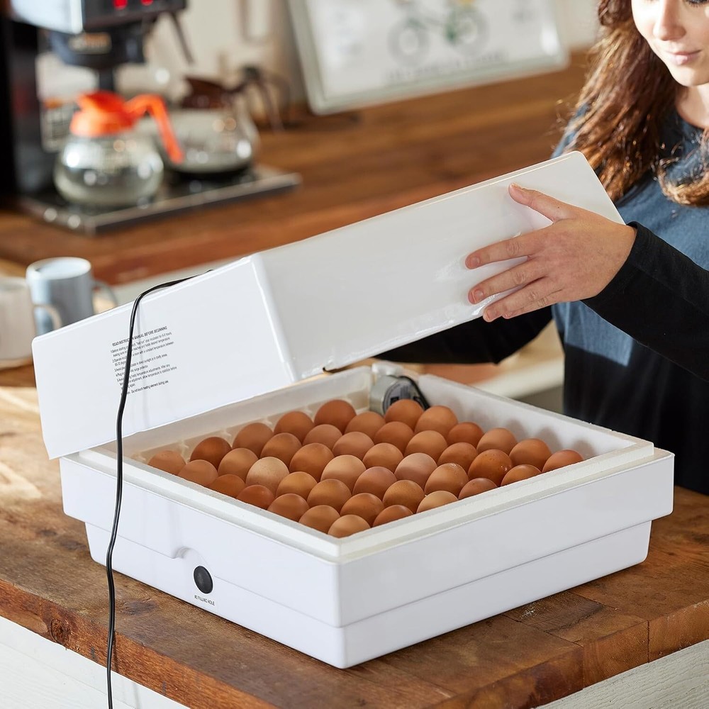 Automatic Egg Incubator with 360-Degree Viewing - Perfect for 41 Eggs Hatching