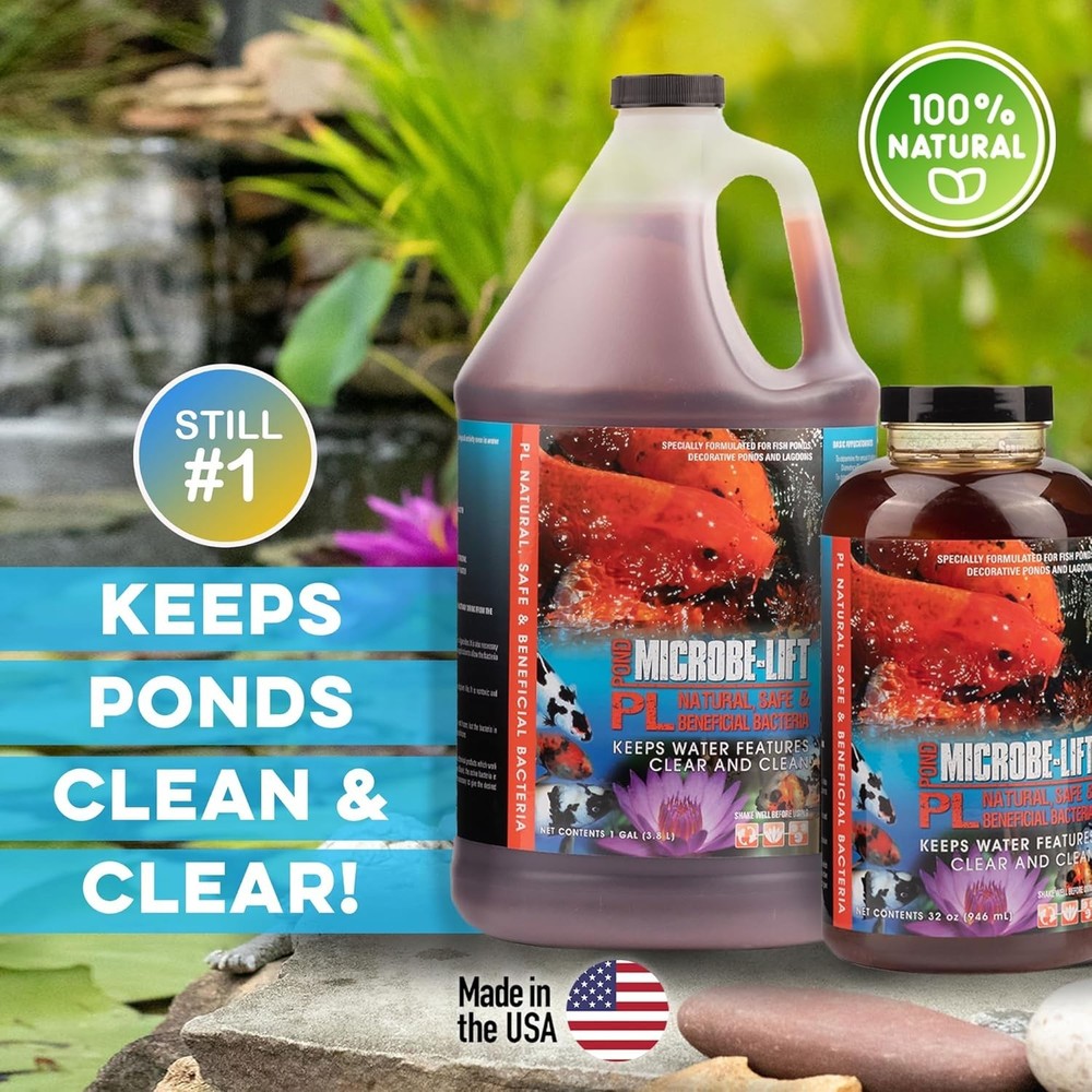Effective Pond Maintenance Solution=
