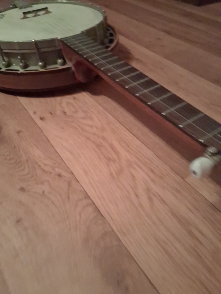 Cool Vintage Eagle 5 String Resonator Banjo