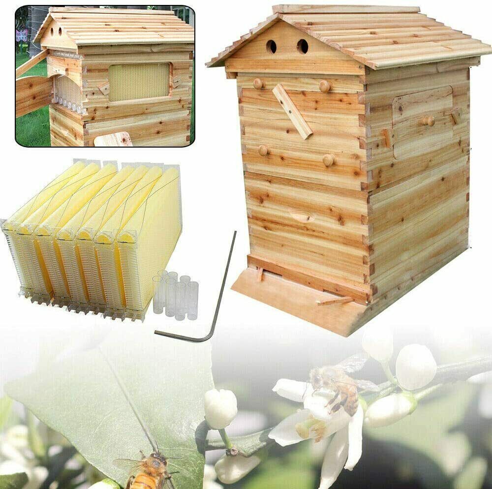 Cedar Wood Auto Bee hive Brood Box 7X Auto Honey Comb Beehive Frames Beekeeping