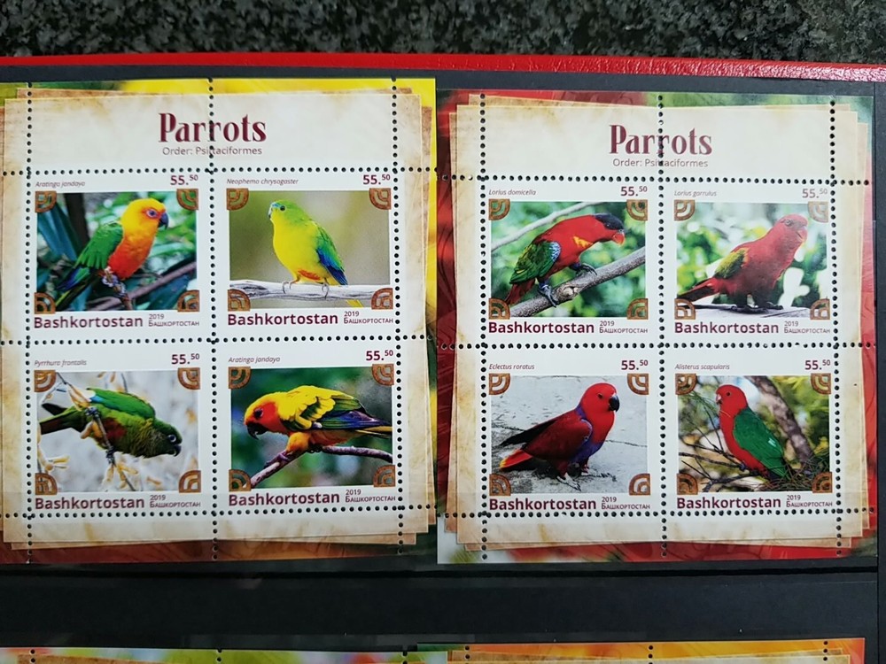 stamps Bashkortostan 2019 Parrors 8 blocks MNH