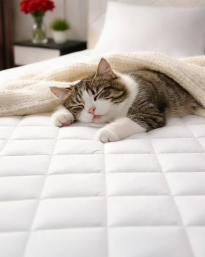 Quilted Fitted Mattress Pad Protector Size - Elastic Fitted Queen White