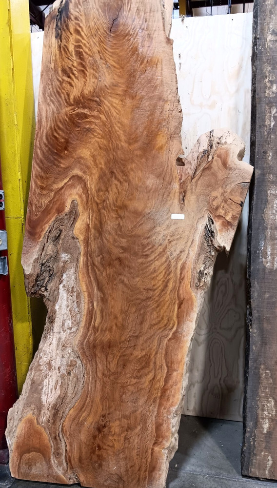 Matumi Slab