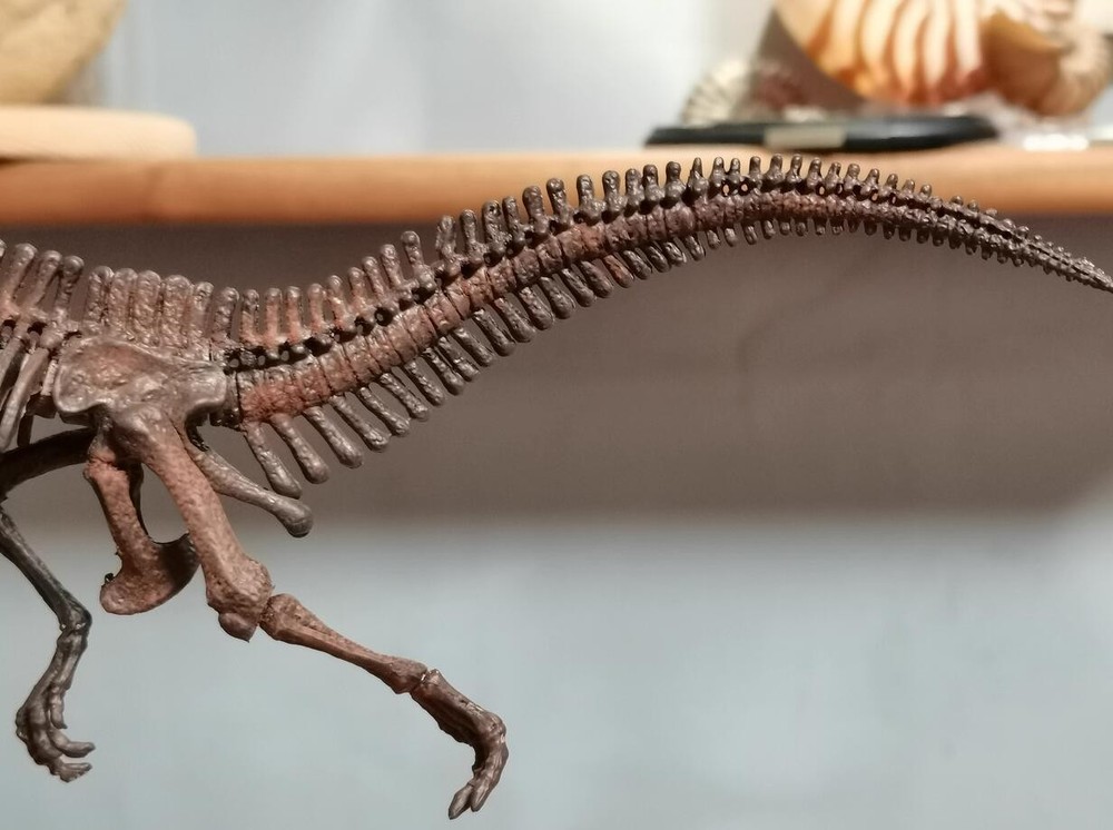 Acrocanthosaurus Skeleton Model Dinosaur Model Statue Display Animal Model