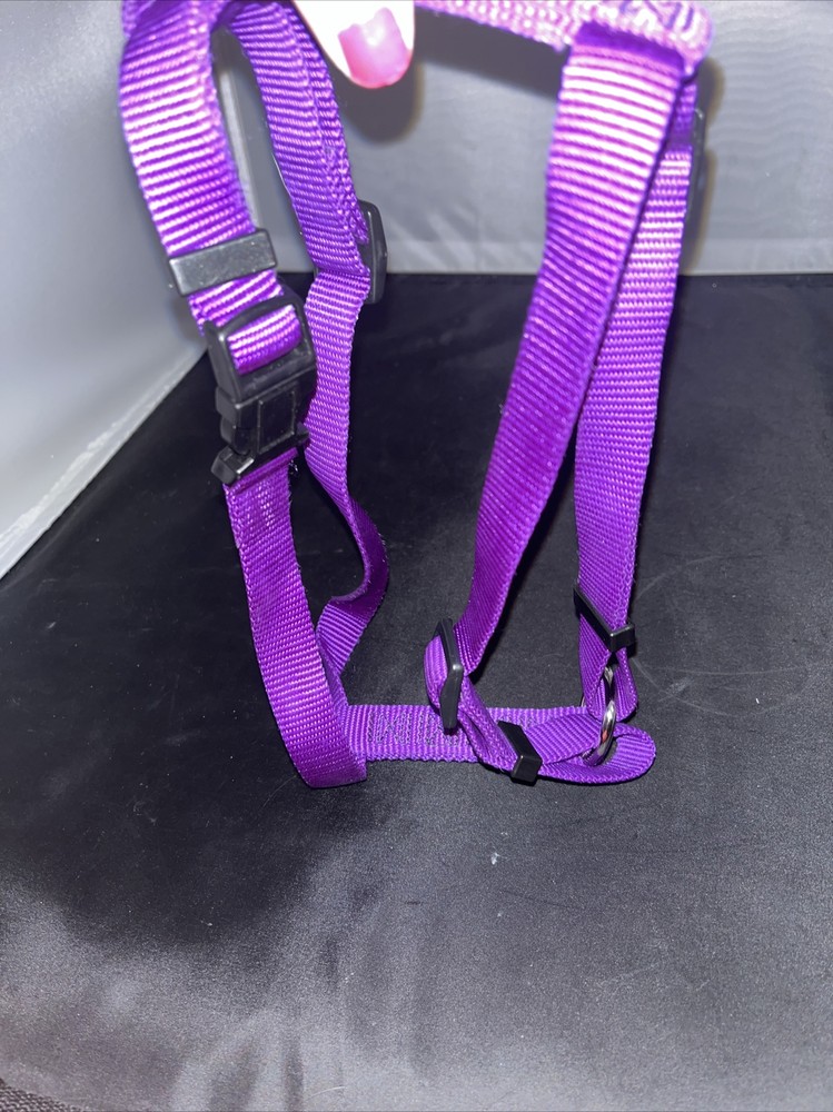 Purple Medium Harness
