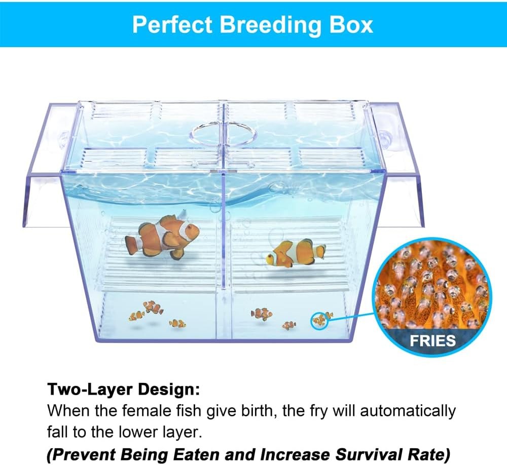Transparent Fish Breeding Isolation Box