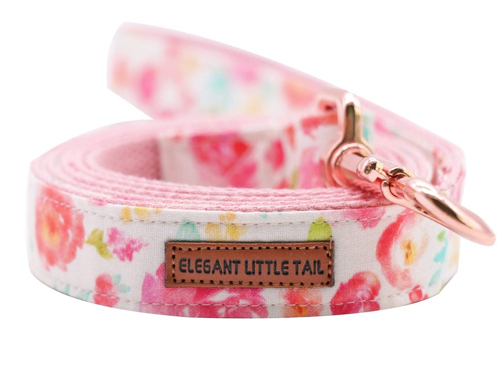 Strong Durable Traditional Style Webbing Dog Leash for Small Medium Large