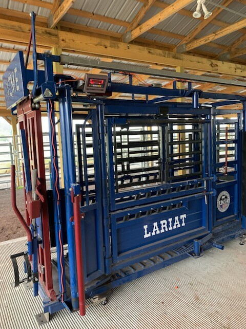 Livestock Scale Kit Cattle Hogs Squeeze Chute kit, With DATA software, Bluetooth