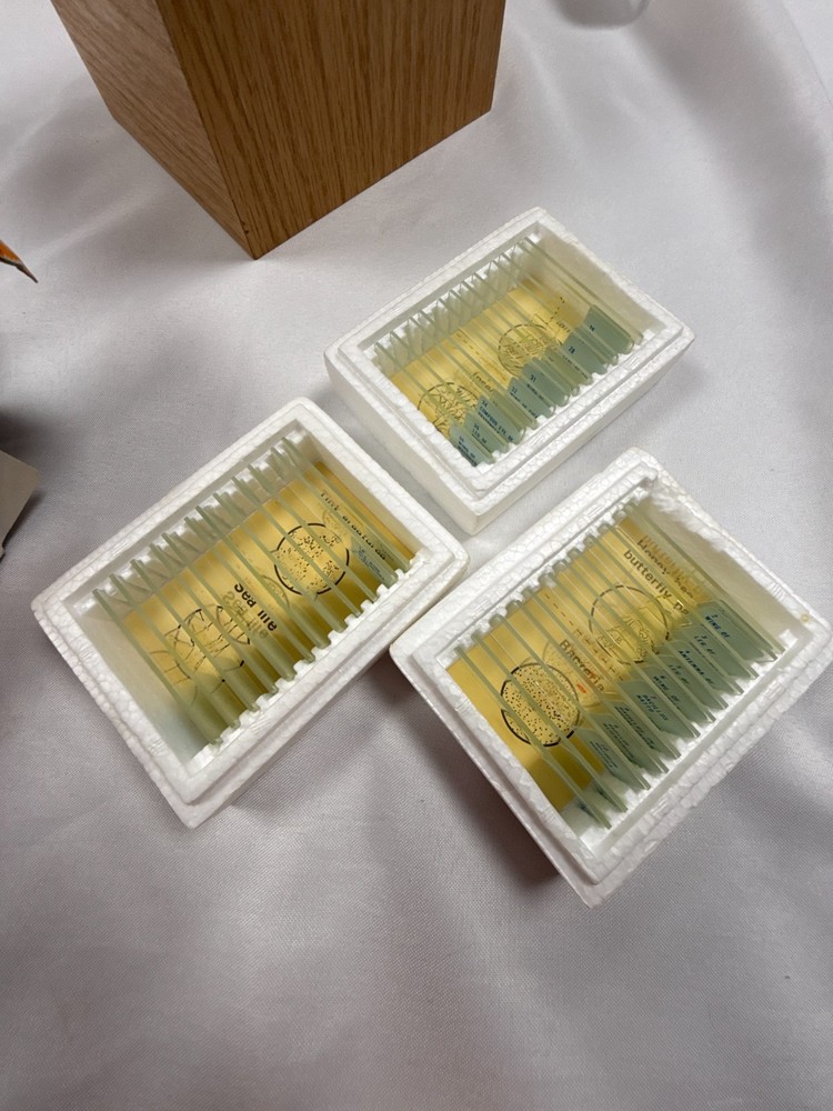 Sears Prepared Microscope Slides Set 36 Specimens Science Education Lab Kit