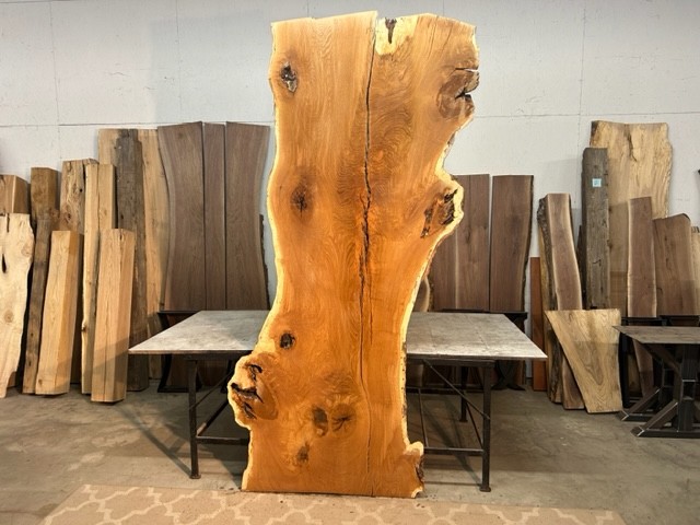 HUGE OAK CONFERENCE/DINING TABLE SLAB/SOLID WHITE OAK WOOD SLAB/DINING TABLE