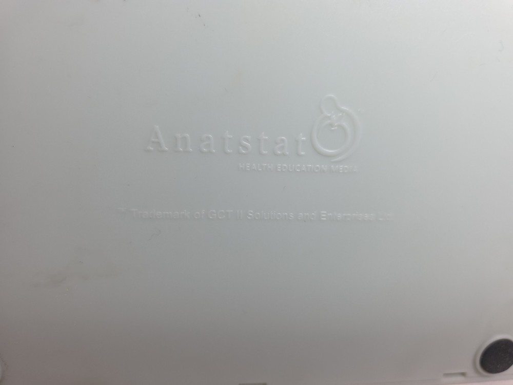 Vintage Pfizer Lung Display Model - Interactive Pump-expanding Lungs Works