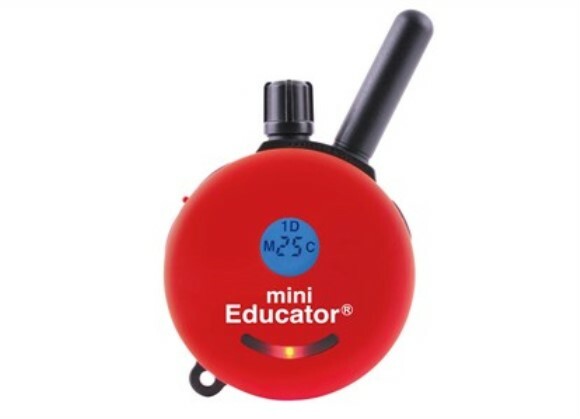 Educator E-Collar Technologies Transmitter for ET-300 Series ONLY- Fast Ship