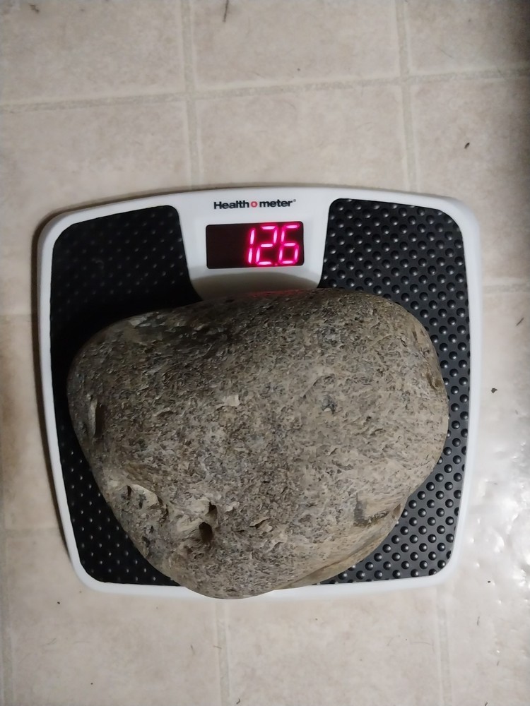 Montana Agate 12.6 lbs