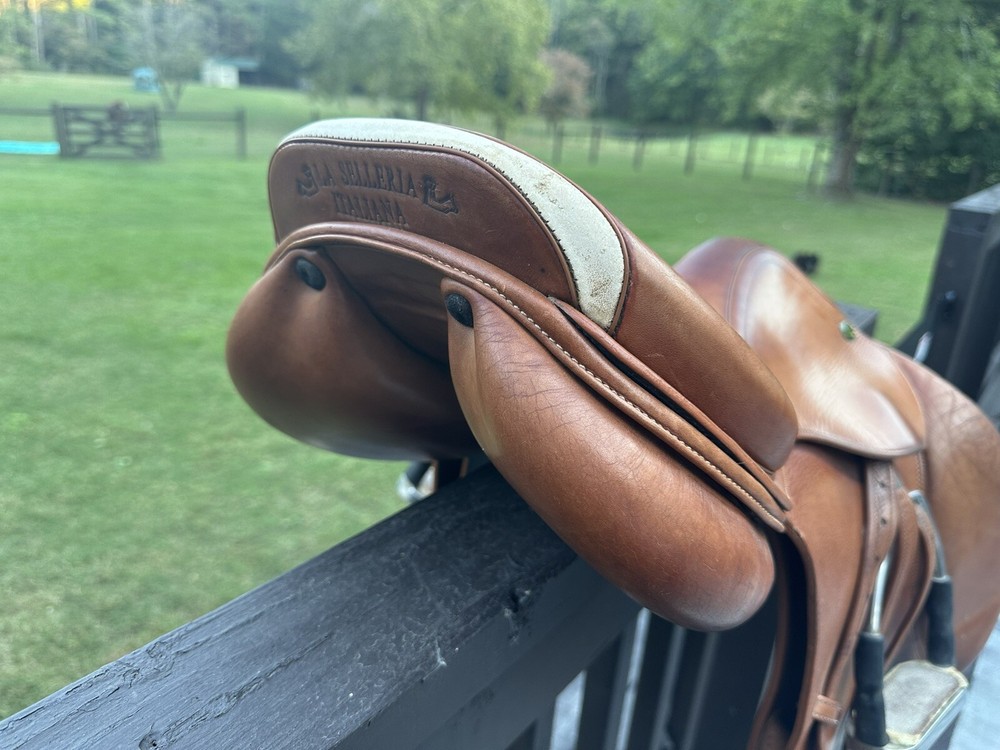 Prestige Nona Garçon Saddle 17”