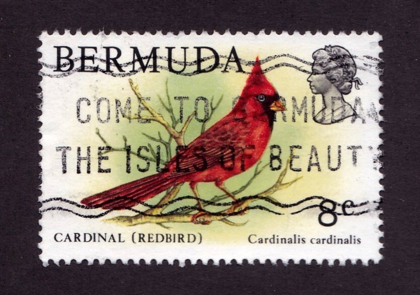 Bermuda     764        used      Birds