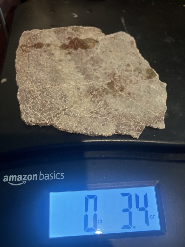 Dinosaur Bone Slab