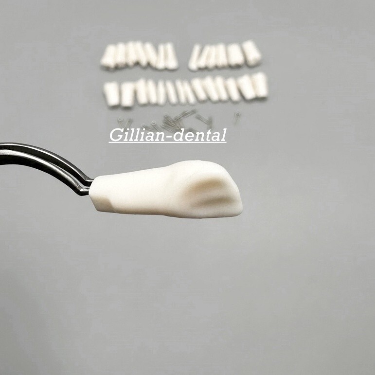 Dental Replacement Screw-in Teeth Typodont Model Practice Removable Tooth Models